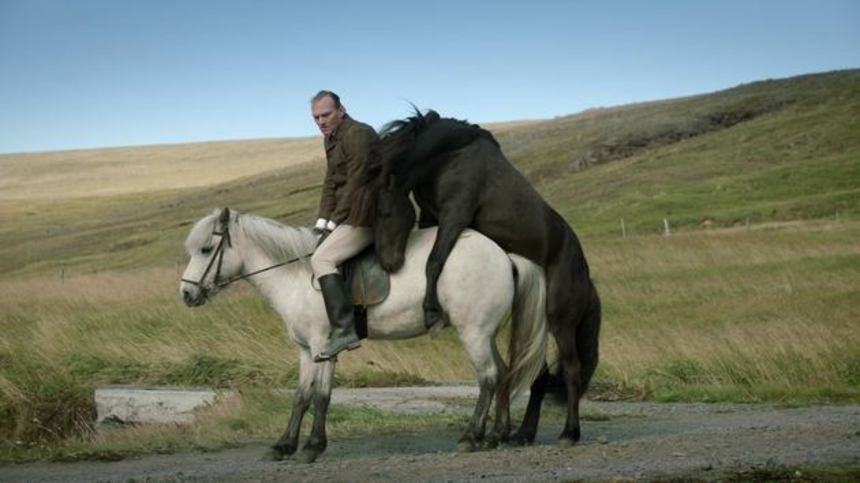 ND/NF 2014 Review: OF HORSES AND MEN Is A Delightfully Deadpan Comedy From Iceland